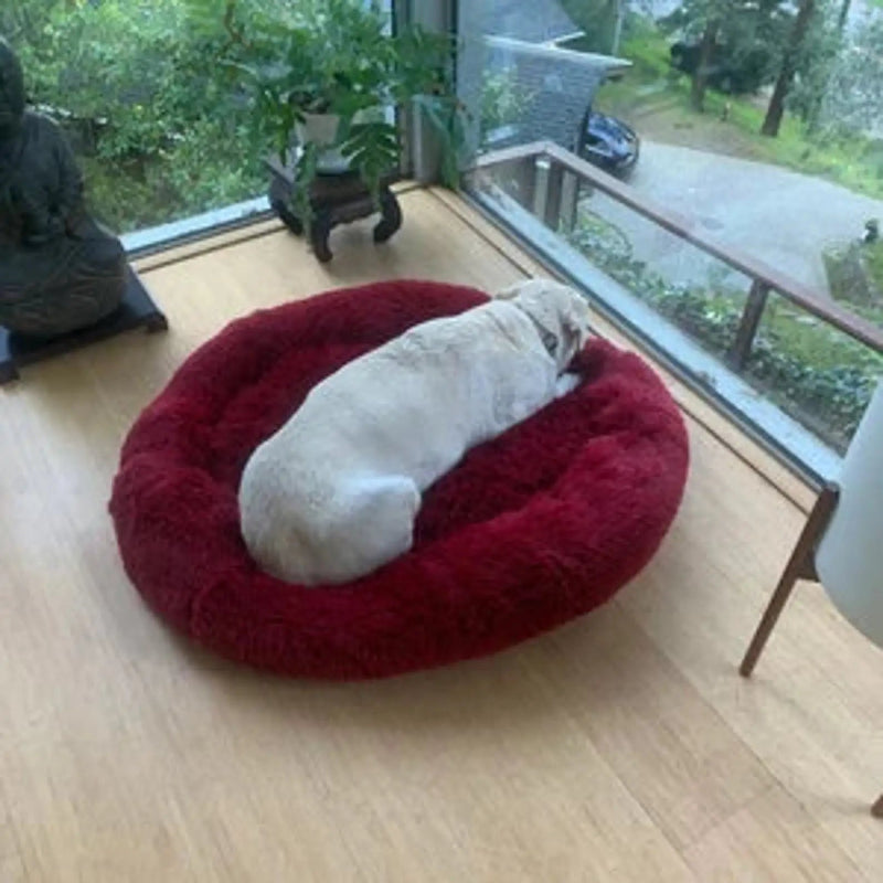 The Yanand Nest™ Calming Orthopedic - Calming Anti-Anxiety Pet Sofa Lounger, Washable for Small Large Dogs & Cats, Comfortable Memory  Mat