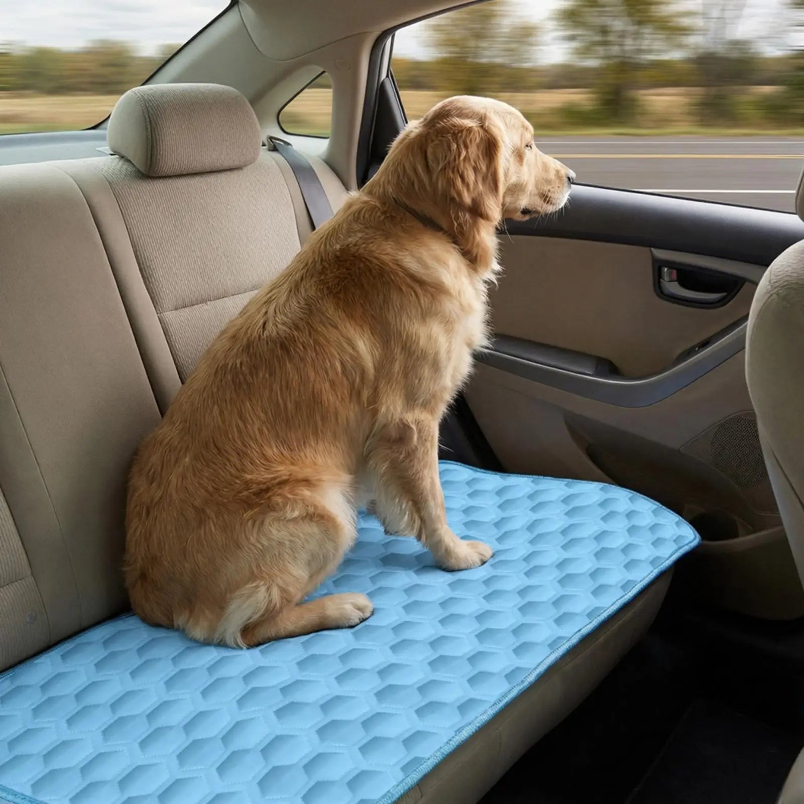 The Yanand HydroCool™ Pressure-Relief Mat. Instant temperature regulation for active dogs