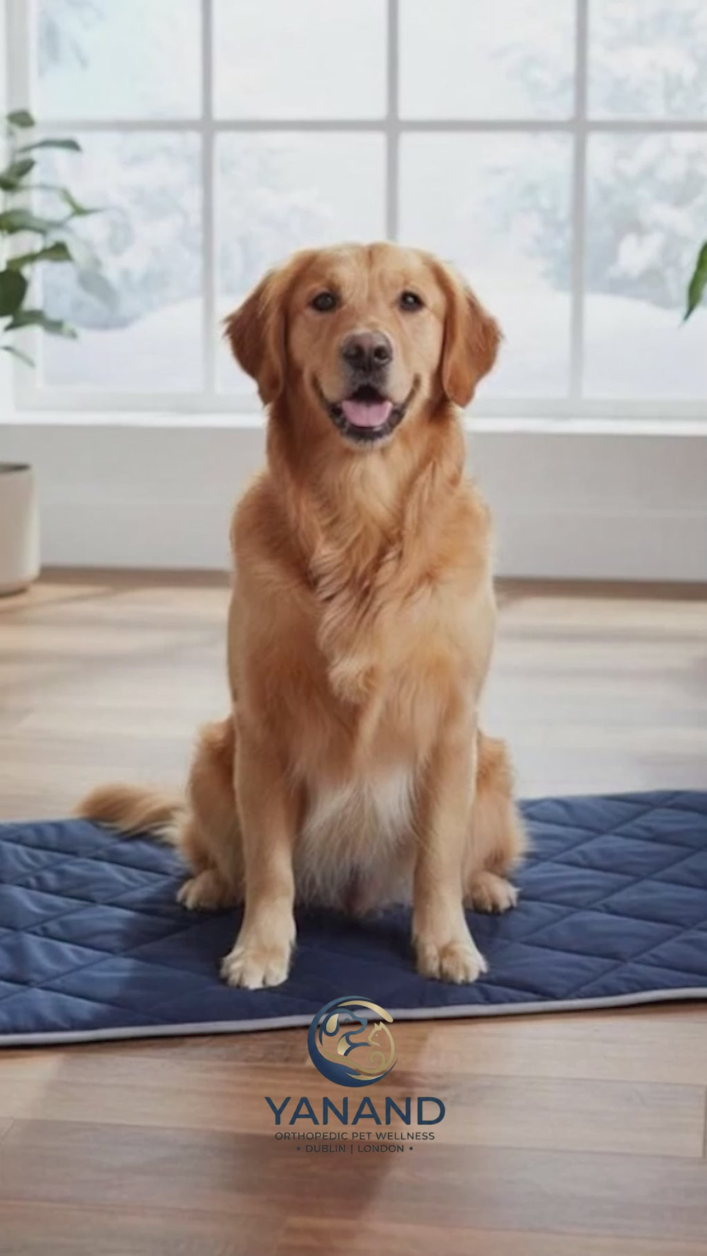 The Yanand ThermoBliss™ Insulated Mat. Electricity-free thermal comfort for cold nights.